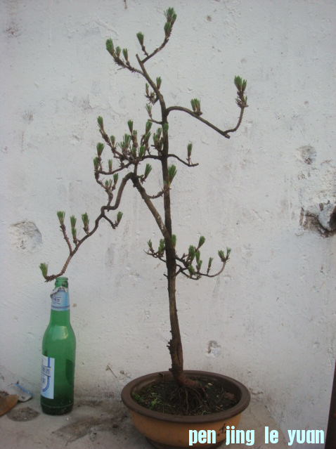 QQͼ20130521192403.png