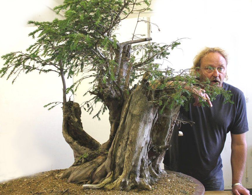 English_Yew_Bonsai_Richard(7).jpg