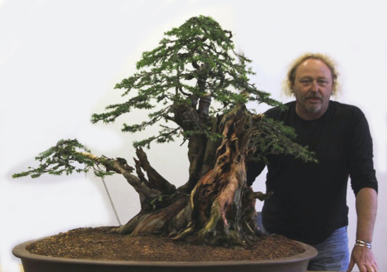 English_Yew_Bonsai_Richard(9).jpg