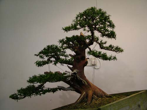 ib_p027_0_8.jpg