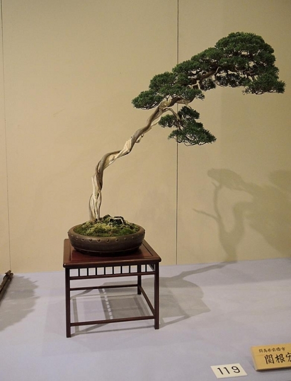 Kokufu Ten 2013 029.jpg