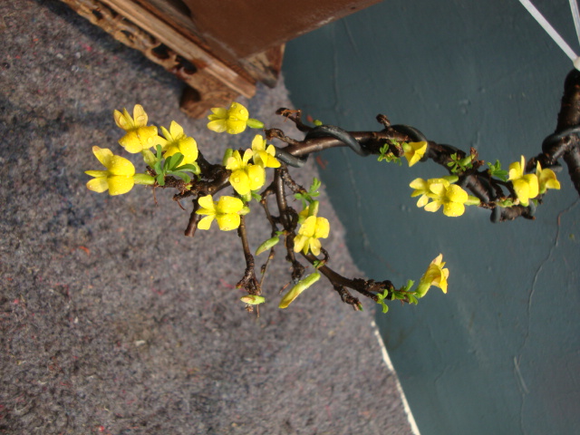 DSC05312.JPG