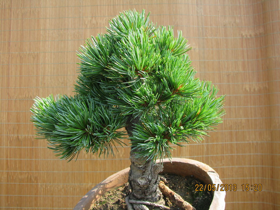  20130522 022.jpg