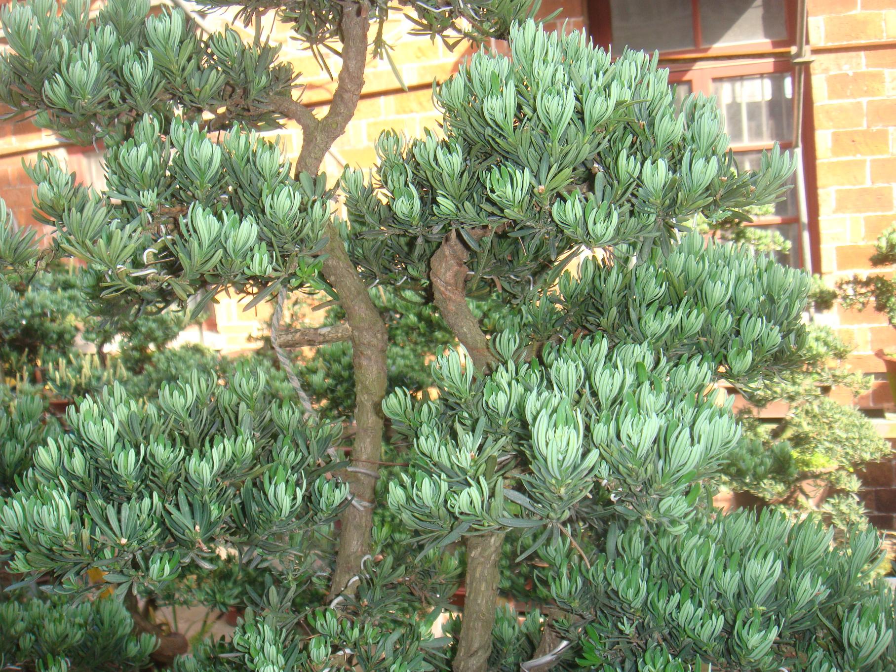 DSC01497.JPG