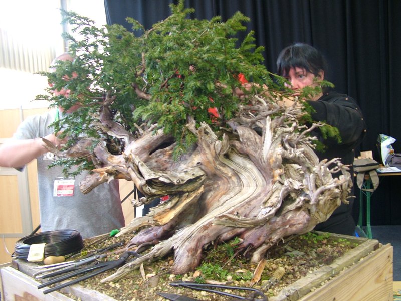 ib_p052_0_3.jpg