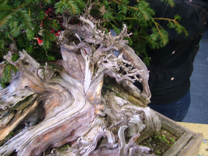 ib_p052_0_4.jpg