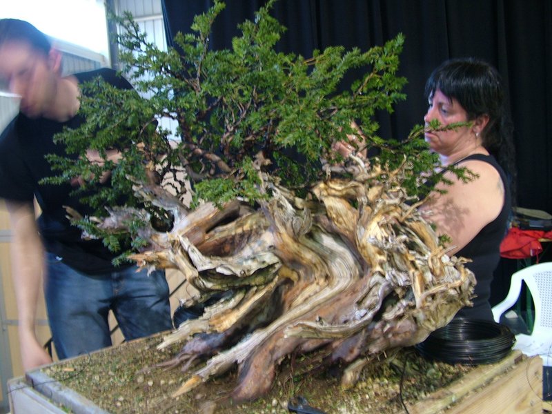 ib_p052_0_6.jpg