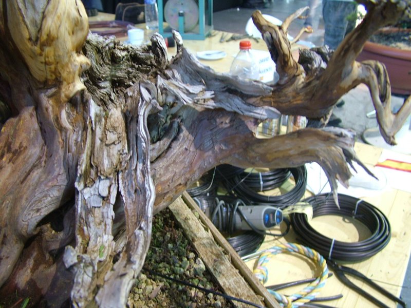ib_p052_0_7.jpg
