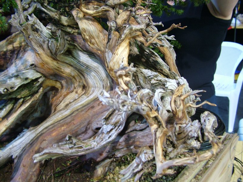 ib_p052_0_9.jpg