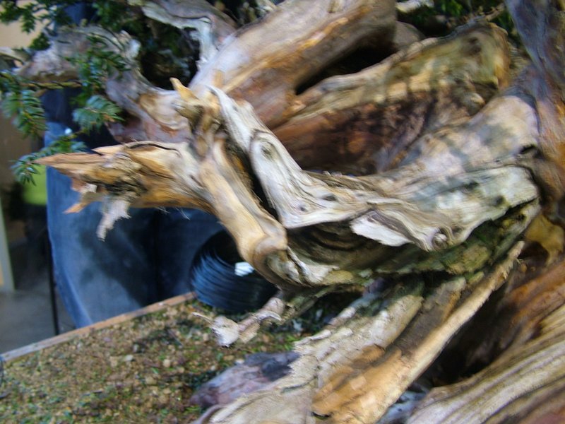 ib_p052_0_11.jpg