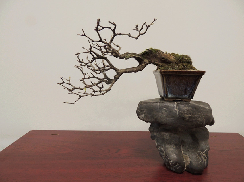 DSCN0696_.jpg