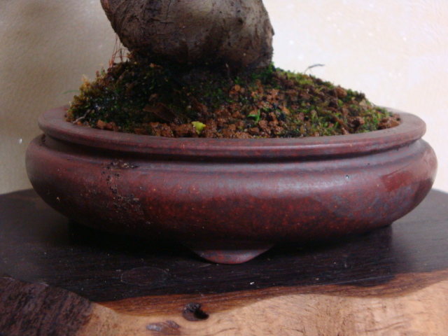 DSC03858.JPG