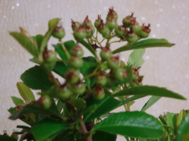 DSC03859.JPG