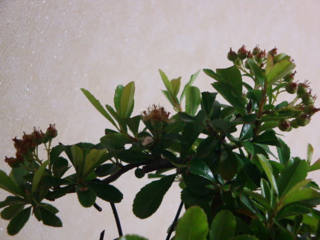DSC03860.JPG