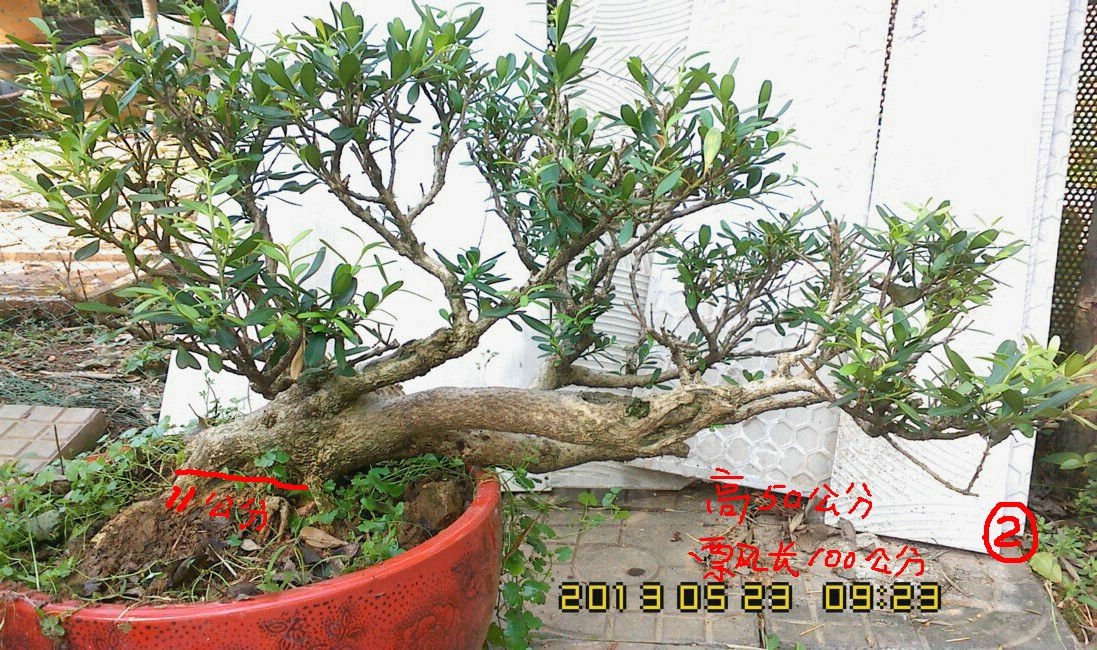 IMG0523092301.jpg