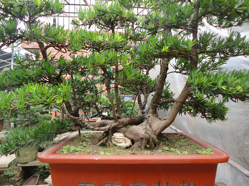 DSC01502_.jpg