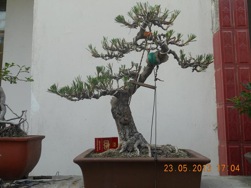 ��СȪ��.ʵ�� 048.JPG