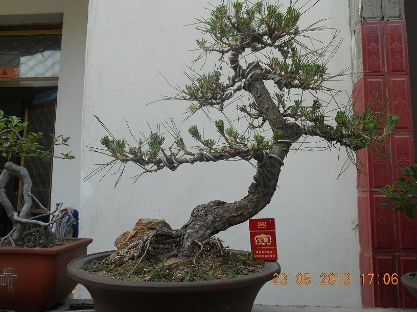 ��СȪ��.ʵ�� 051.JPG