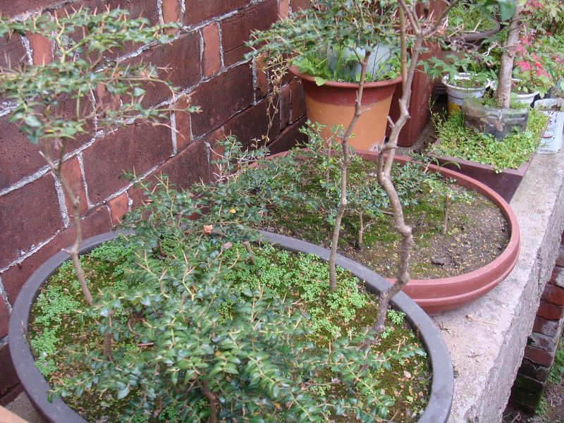 DSC03889.JPG