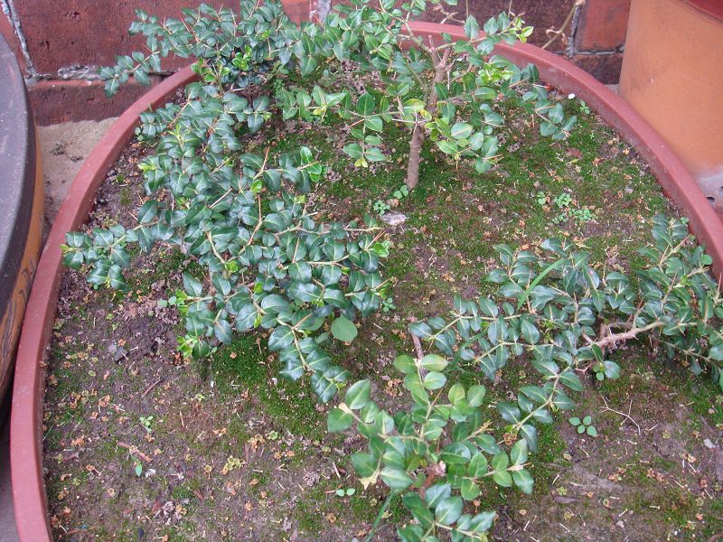 DSC03890.JPG