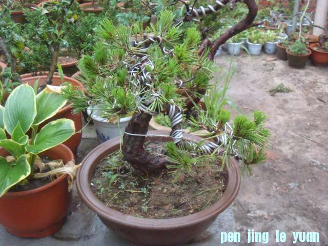 DSC01447.JPG