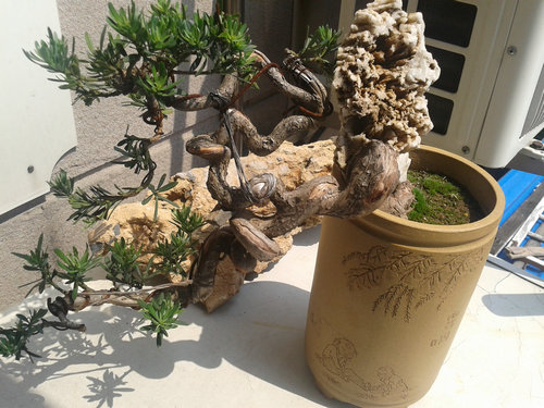 2013-05-21 13.45.33.jpg