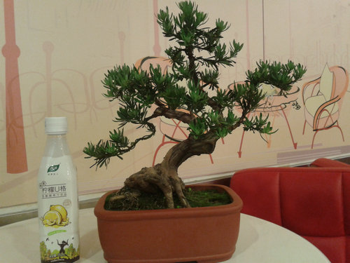 2013-05-23 21.06.36.jpg