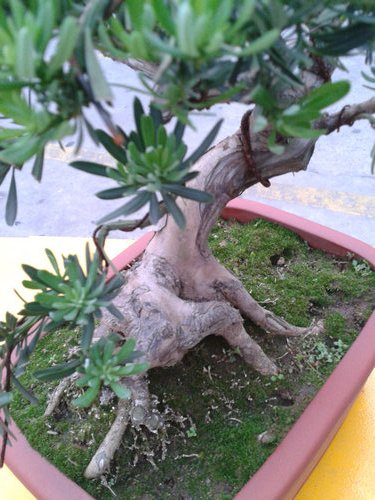 2013-05-23 18.06.06.jpg