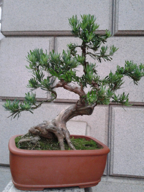 2013-05-23 18.15.37.jpg