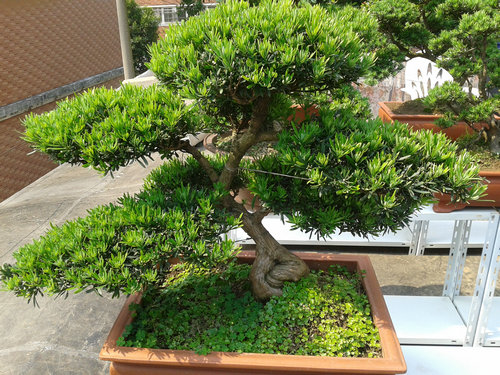 2013-05-21 14.25.44.jpg