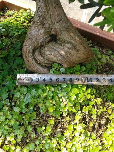 2013-05-21 14.23.55.jpg