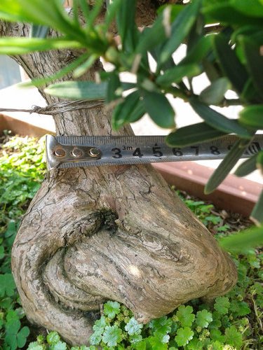 2013-05-21 14.24.23.jpg