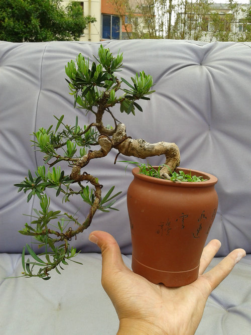2013-05-23 14.20.47.jpg