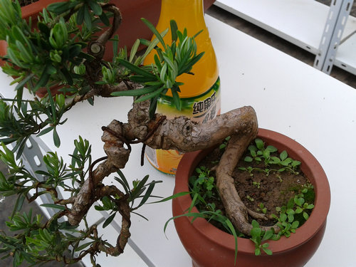 2013-05-23 14.12.26.jpg