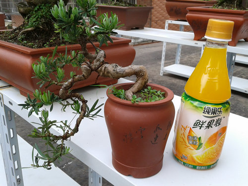 2013-05-23 14.12.53.jpg