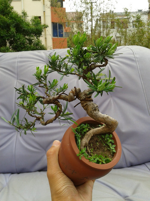 2013-05-23 14.20.24.jpg