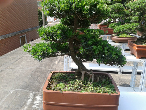 2013-05-22 14.31.46.jpg
