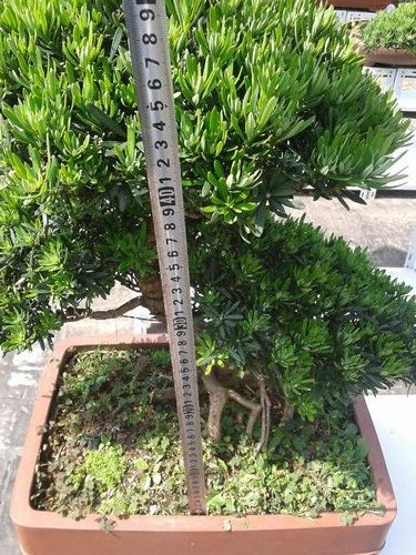 2013-05-22 14.32.33.jpg