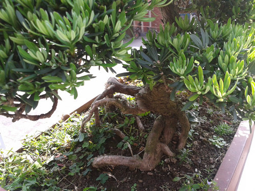 2013-05-22 14.34.37.jpg