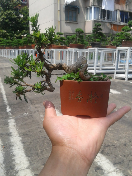 2013-05-22 13.24.53.jpg