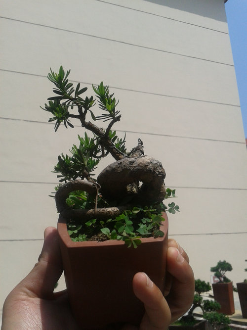 2013-05-22 13.20.59.jpg