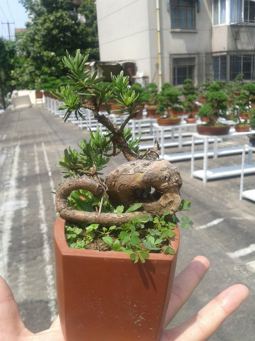 2013-05-22 13.21.38.jpg