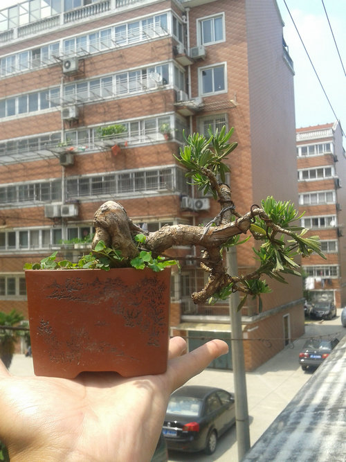 2013-05-22 13.21.58.jpg