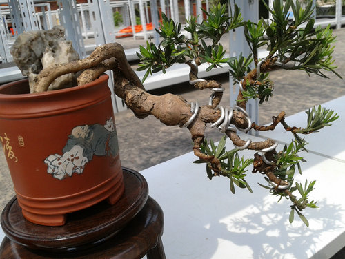 2013-05-02 13.53.07.jpg