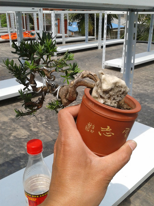 2013-05-02 13.44.19.jpg