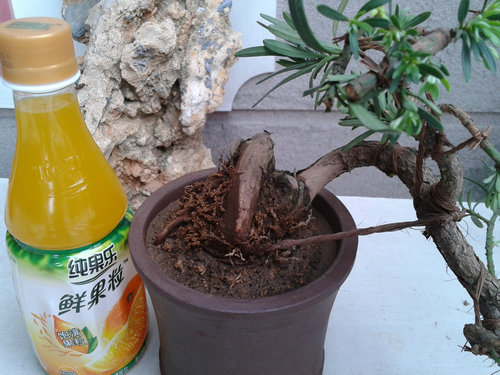2013-05-23 13.55.43.jpg