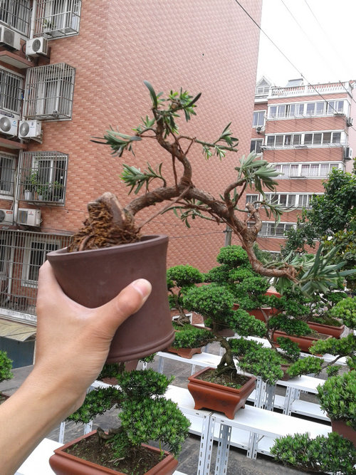 2013-05-23 14.06.26.jpg