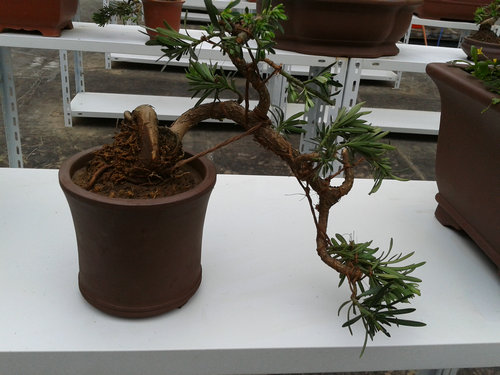 2013-05-23 14.07.16.jpg