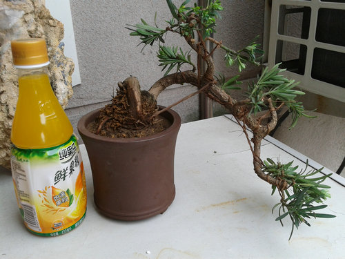 2013-05-23 13.55.26.jpg