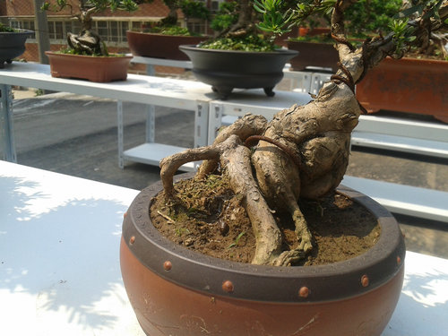 2013-05-21 14.01.42.jpg
